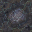 ocean floor