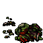 dead omnivora