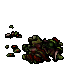 dead omnivora