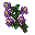 blooming purple nightshade