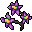 purple nightshade blossom