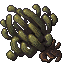 cactus tree