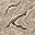 dry floor