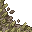 grass