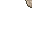 dry floor