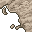 dry floor