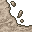 dry floor