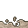 dry floor