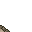dry floor