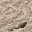 dry floor