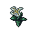 moon flower