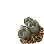 dragon's nest