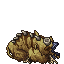 culled clomp