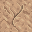 stone floor