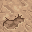 stone floor