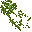 column