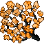 autumn sparkle blossom
