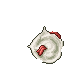 remains of an observer eye