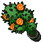 blooming cactus