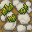 stone path