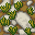 stone path