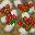 stone path