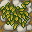 stone path