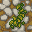 stone path