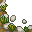 stone path