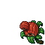 small plant house