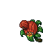 small plant house