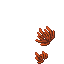sea plant