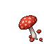 big fly agaric