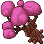 dusk beech