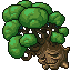 sentient oak