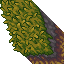 lush roof