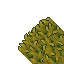 lush roof