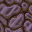 glistening stone floor