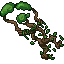 windroot tree