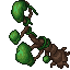 arching tree