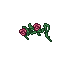 rose arch