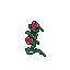 rose arch
