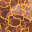 energized tile