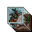 terrarium spider