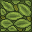 verdant carpet