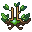 leaf crown