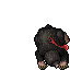 dead mole