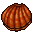 seashell