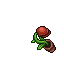 carnivorous plant