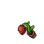 carnivorous plant